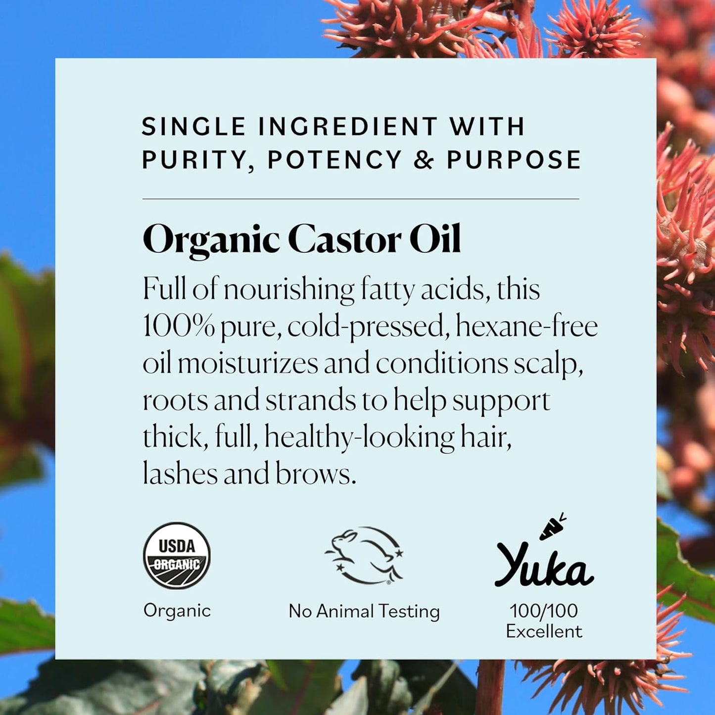 Elixir™Organic Castor Oil Wellness Kit